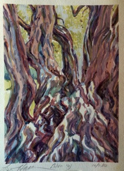 Tree bark Tree bark